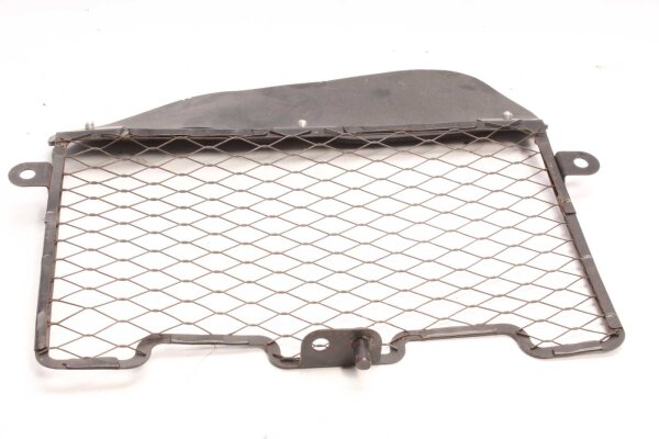 Radiator grille Protective grille Honda XRV 750 Africa Twin RD07 93-03