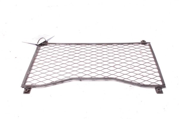 Kølerbeskyttelsesgitter beskyttelsesgitter Yamaha FZR 600 3HE 89-93