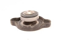 Kühlerdeckel Yamaha FZR 600 3HE 89-93