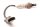 Sonde lambda BMW R 1200 GS R12 K25 04-07
