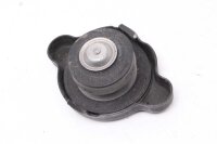 Kühlerdeckel Yamaha FZR 1000 Exup 3LE 89-93