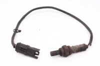 Lambdasondi BMW F 800 GS E8GS 0219 08-12