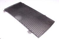 vattenkylare kylare skyddsgaller BMW F 800 GS E8GS 0219 08-12