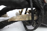 johtosarja pääjohtosarja Yamaha XJ 900 F Strider 31A 83-84