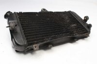 vattenkylare kylare Yamaha TDM 850 3VD 91-95