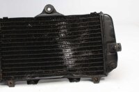 vattenkylare kylare Yamaha TDM 850 3VD 91-95