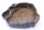 engine cover Yamaha XT 500 1U6 78-89