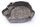 Motordeckel Yamaha XT 500 1U6 78-89