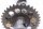 Nockenwelle Yamaha FZR 600 3HE 89-93
