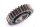 Gearkasse Gear Pinion Yamaha SR 500 2J4 78-83