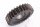 Gearkasse Gear Pinion Yamaha SR 500 2J4 78-83