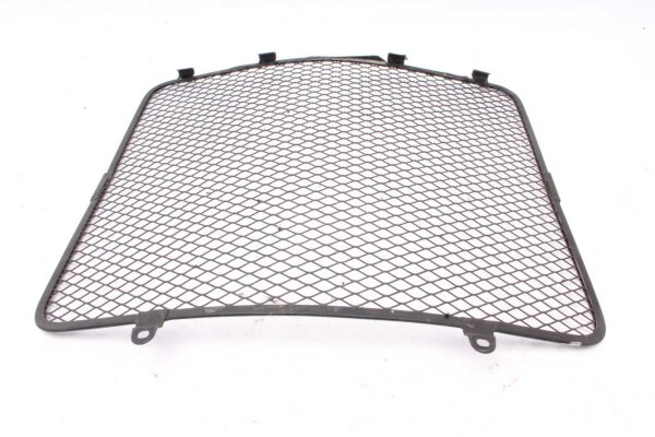 Jäähdyttimen säleikkö suojaritilä MV Agusta Brutale 750 S Brutale F4 03-05