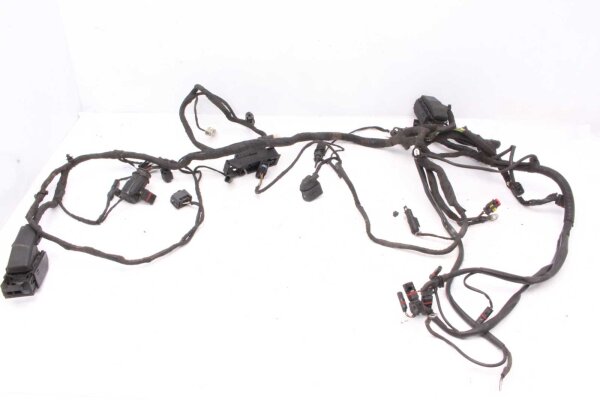 Arnés de cableado principal del arnés de cableado BMW F 650 GS Twin E8GS 0218 08-12