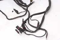 Arnés de cableado principal del arnés de cableado BMW F 650 GS Twin E8GS 0218 08-12