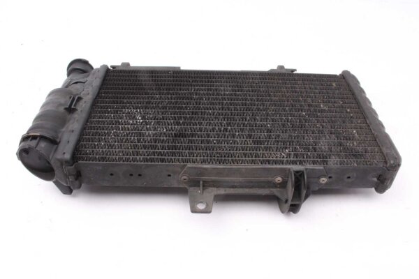 Radiador del enfriador de agua BMW F 650 GS Twin E8GS 0218 08-12