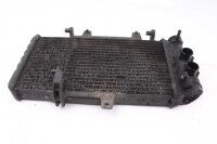 Radiador del enfriador de agua BMW F 650 GS Twin E8GS 0218 08-12