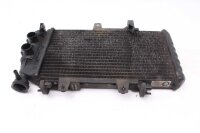 Radiador del enfriador de agua BMW F 650 GS Twin E8GS 0218 08-12