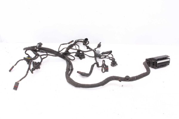 Faisceau de câbles faisceau de câbles principal BMW F 650 GS Twin E8GS 0218 08-12