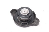 Tapa del radiador Yamaha YZF R1 RN04 00-01