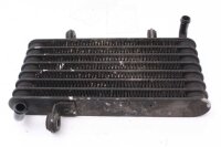 Ölkühler Aprilia RST 1000 Futura PW 01-04