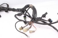 Faisceau de câbles faisceau de câbles principal Aprilia RST 1000 Futura PW 01-04