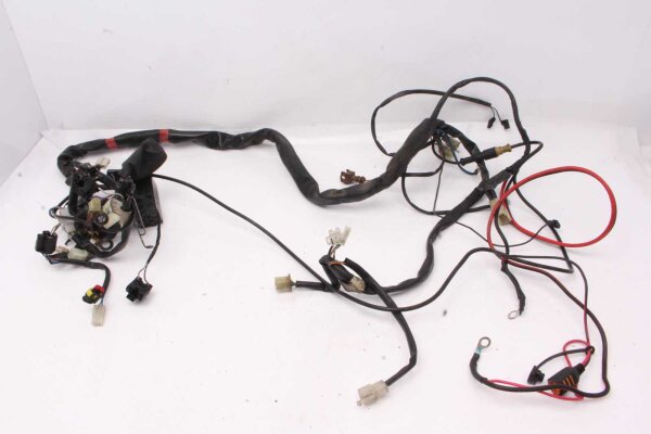 Ledningsnät huvudledningsnät Aprilia RST 1000 Futura PW 01-04