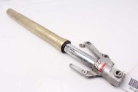 Gabelholm links Yamaha YZF R1 RN04 00-01