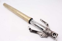 Gabelholm links Yamaha YZF R1 RN04 00-01