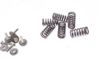 Kopplingskorgsfjädrar Aprilia RST 1000 Futura PW 01-04