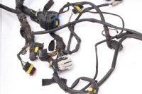 Ledningsnet hovedledningsnet  Moto Guzzi Norge 1200 4V LP...