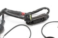 cablaggio elettrico  Ducati ST4S ST4S/01 01-03