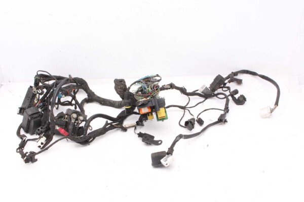 Wiring harness main wiring harness BMW F 650 GS R13 00-03