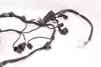 Wiring harness main wiring harness BMW F 650 GS R13 00-03