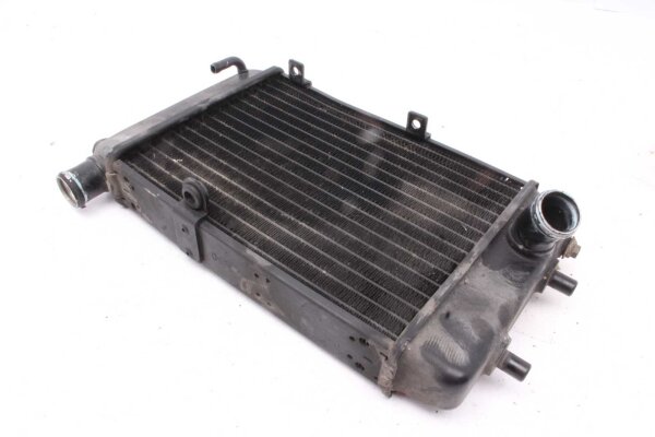 Refroidisseur deau Refroidisseur de radiateur  Aprilia RST 1000 Futura PW 01-04