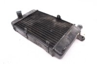 Refroidisseur deau Refroidisseur de radiateur  Aprilia RST 1000 Futura PW 01-04