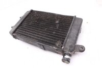 Refroidisseur deau Refroidisseur de radiateur  Aprilia RST 1000 Futura PW 01-04