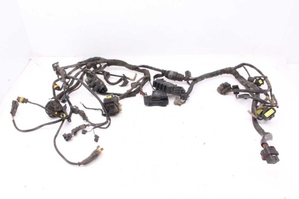 Cablaggio cablaggio principale  Ducati Multistrada 1000 DS A1 03-06