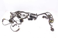 Cablaggio cablaggio principale  Ducati Multistrada 1000...