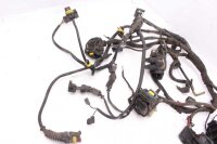 Cablaggio cablaggio principale  Ducati Multistrada 1000...