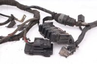 Cablaggio cablaggio principale  Ducati Multistrada 1000 DS A1 03-06