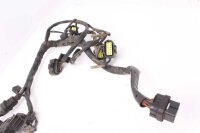 Cablaggio cablaggio principale  Ducati Multistrada 1000 DS A1 03-06