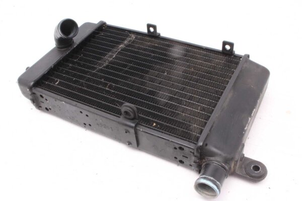 Raffreddatore ad acqua Radiatore di raffreddamento  Aprilia RST 1000 Futura PW 01-04