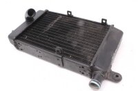 Water cooler Radiator cooler Aprilia RST 1000 Futura PW...