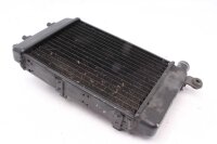 Raffreddatore ad acqua Radiatore di raffreddamento  Aprilia RST 1000 Futura PW 01-04