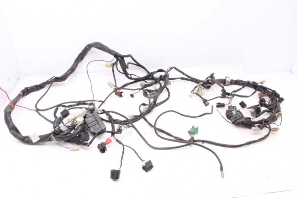 Faisceau de câbles faisceau de câbles principal Aprilia RST 1000 Futura PW 01-04