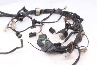 Faisceau de câbles faisceau de câbles principal Aprilia RST 1000 Futura PW 01-04