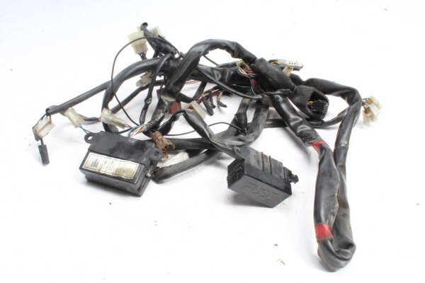 Kabelhärva huvudkabelhärva Aprilia Aprilia ETV 1000 Caponord PS 01-09