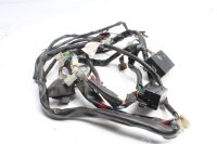 Kabelhärva huvudkabelhärva Aprilia Aprilia ETV 1000 Caponord PS 01-09