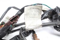 Kabelhärva huvudkabelhärva Aprilia Aprilia ETV 1000 Caponord PS 01-09