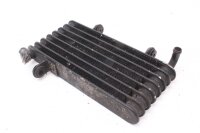 Ölkühler Kühler Aprilia RST 1000 Futura PW...